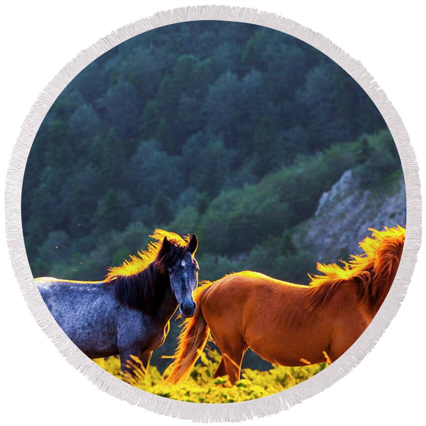 Balkan Mountains Round Beach Towel featuring the photograph Wild Horses by Evgeni Dinev