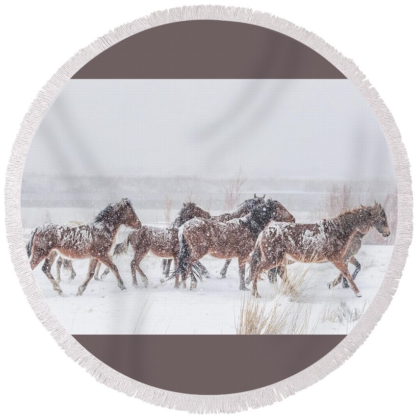 Nevada Round Beach Towel featuring the photograph Wild Horses in Cold Snowy Weather by Marc Crumpler