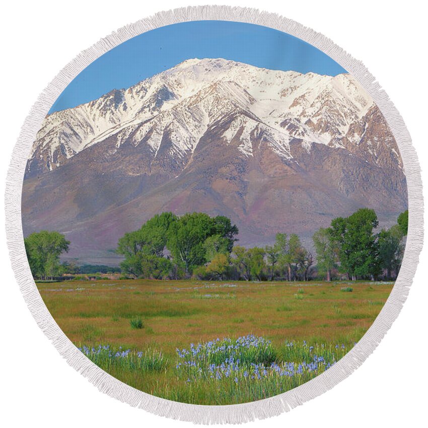 Mount Tom Round Beach Towel featuring the photograph Wild Irises and Mount Tom in Eastern Sierra, California by Ram Vasudev
