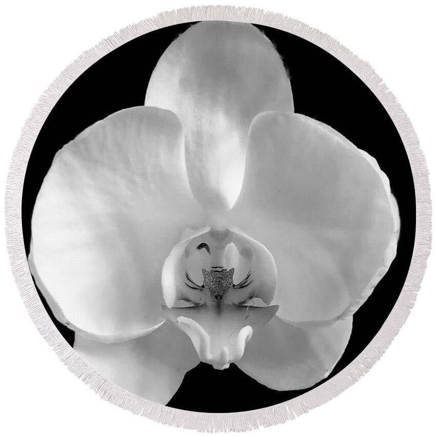 Black And White Round Beach Towel featuring the photograph Wild Orchid by John Anderson