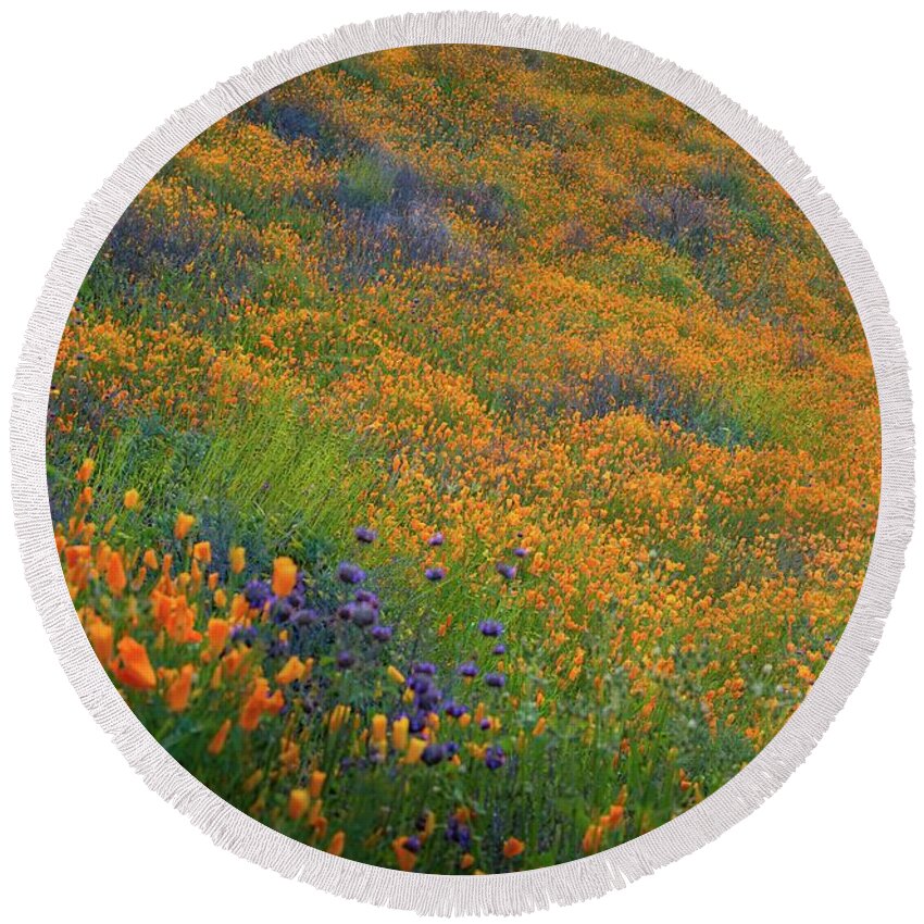 Callfornia Poppy Round Beach Towel featuring the photograph Wildflower Super Bloom at Sunrise in Walker Canyon by Rebecca Herranen