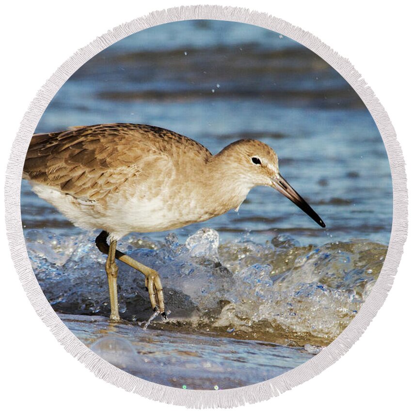 Willet Round Beach Towel featuring the photograph Willet in the Surf by Bob Decker