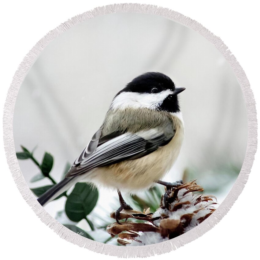 Winter Round Beach Towel featuring the photograph Winter Chickadee Square by Christina Rollo