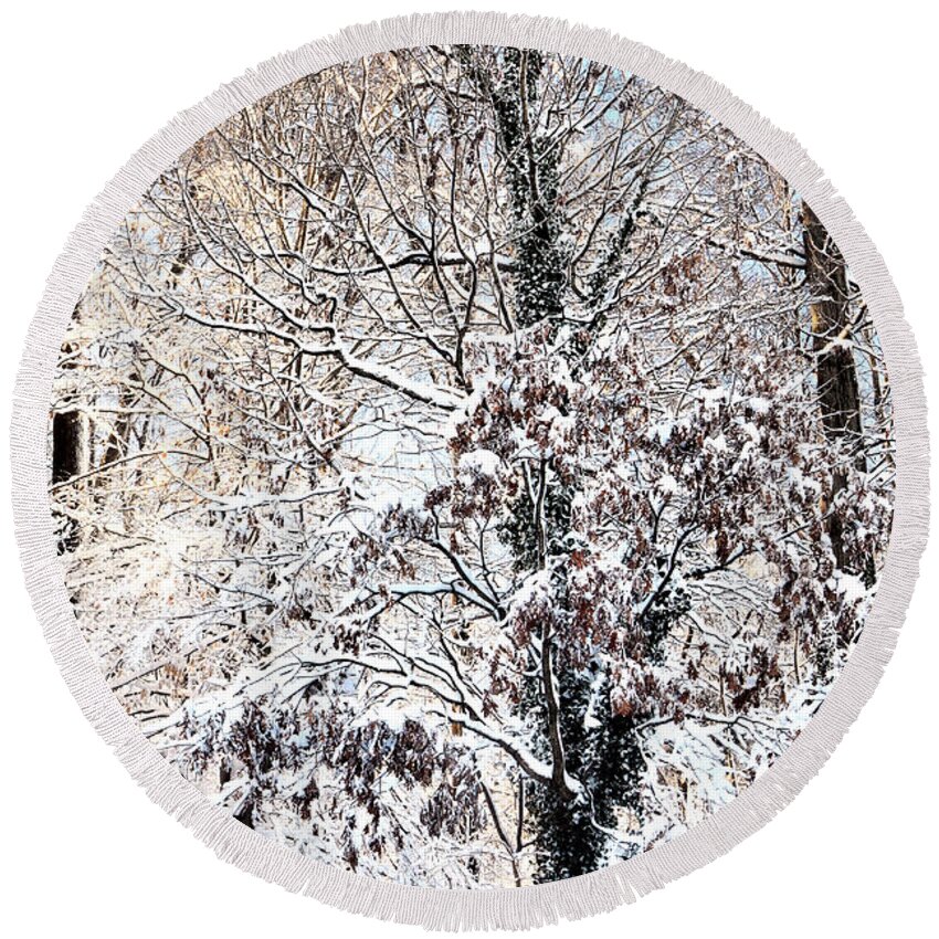 Snow Round Beach Towel featuring the photograph Winter Dreams No. 3 by Steve Ember