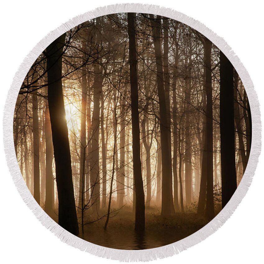 Norfolk Round Beach Towel featuring the photograph Winter forest at sunrise with mist and fog by Simon Bratt