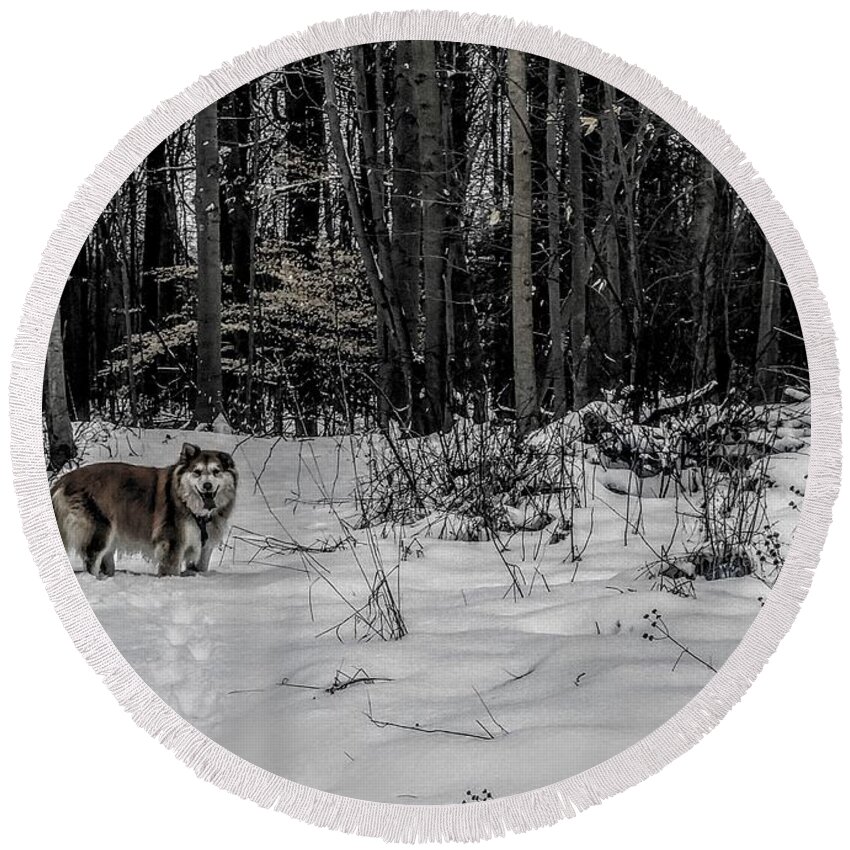  Round Beach Towel featuring the photograph Winter Hike by Brad Nellis