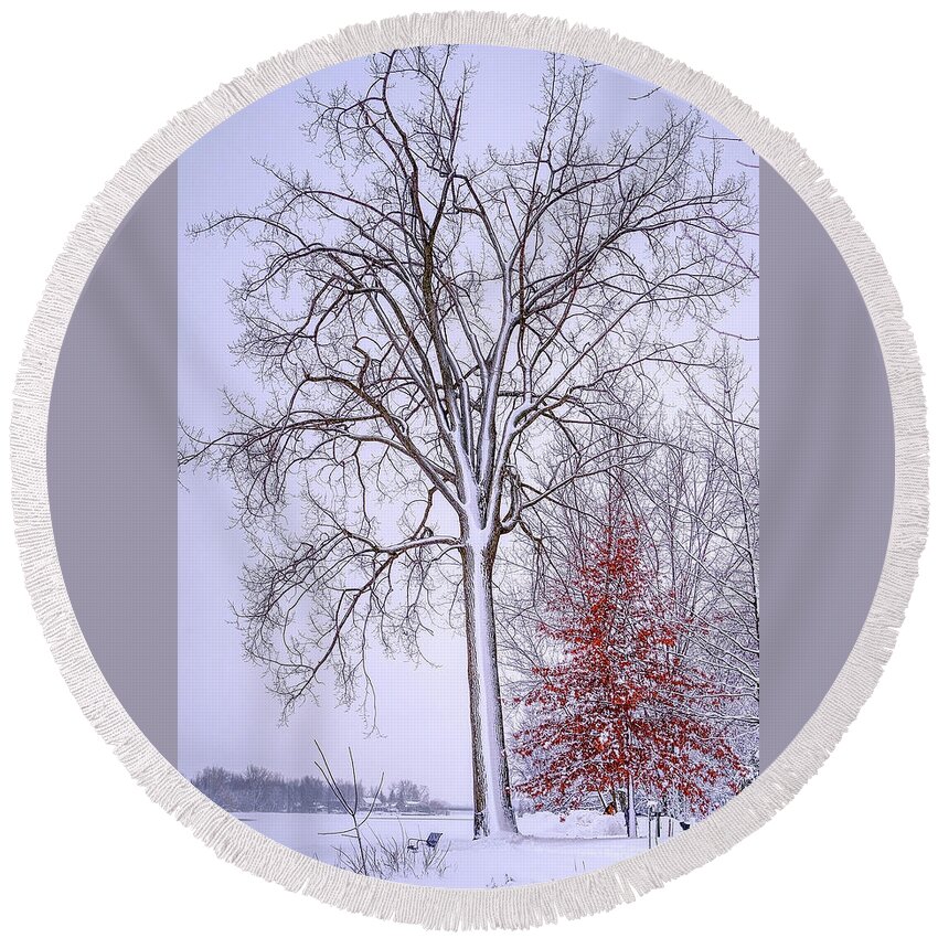 White Round Beach Towel featuring the photograph Winter, i don't wanna a lose red by Carl Marceau