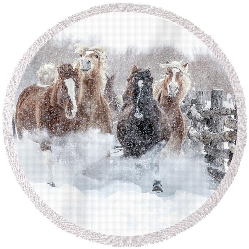 Horse Round Beach Towel featuring the photograph Winter Thunderland by Dawn Key