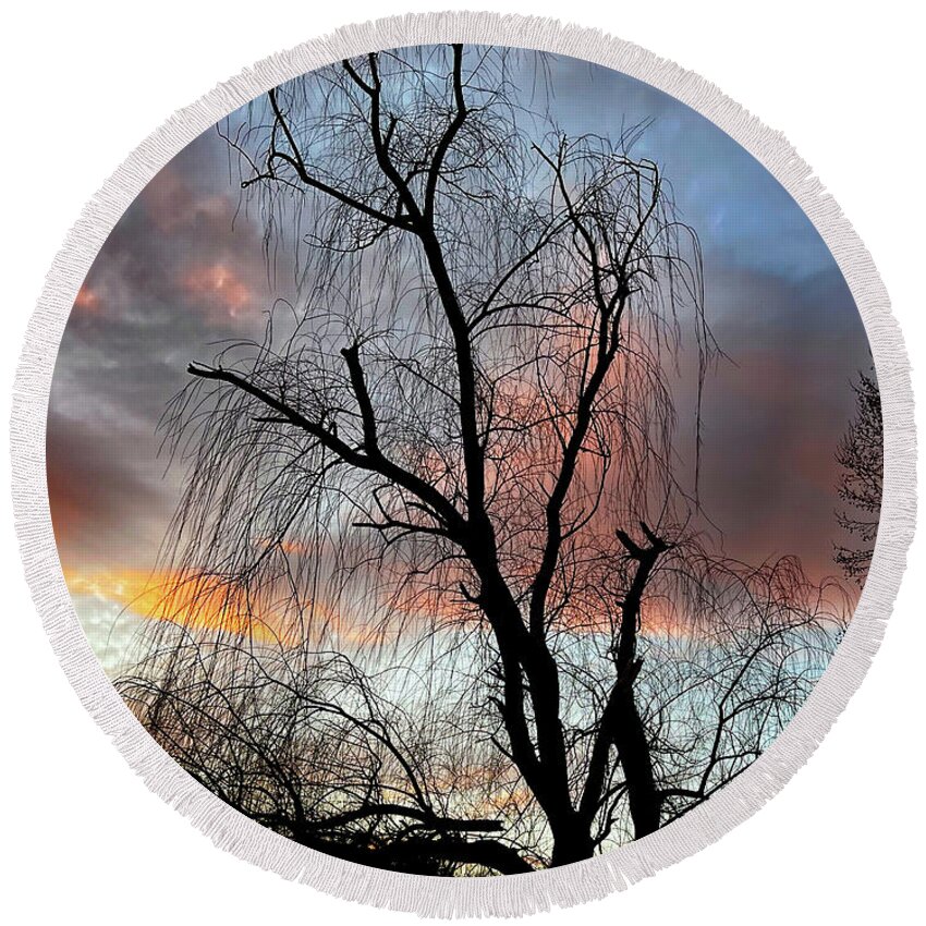 Nature Round Beach Towel featuring the photograph Winter Willow by Gina Fitzhugh
