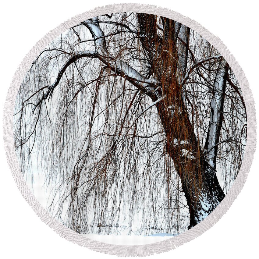 Willow Tree Round Beach Towel featuring the photograph Winter Willow by Susie Loechler