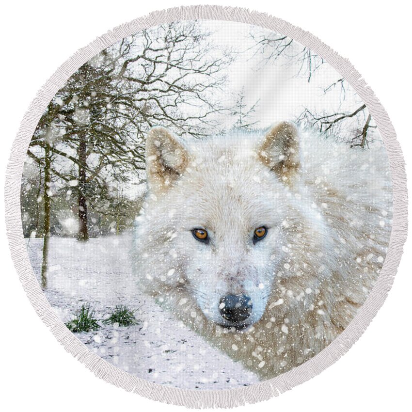 Wolf Round Beach Towel featuring the photograph Winter Wolf Landscape by Gareth Parkes