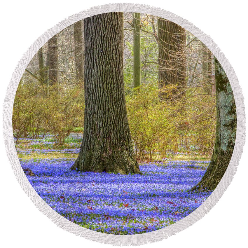 Chinodoxa Round Beach Towel featuring the photograph Winterthur March Bank in April by Marilyn Cornwell
