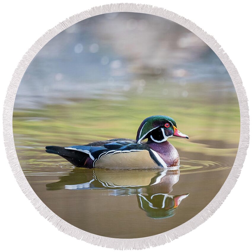 Wood Duck Round Beach Towel featuring the photograph Wood duck 1 by Stephen Holst