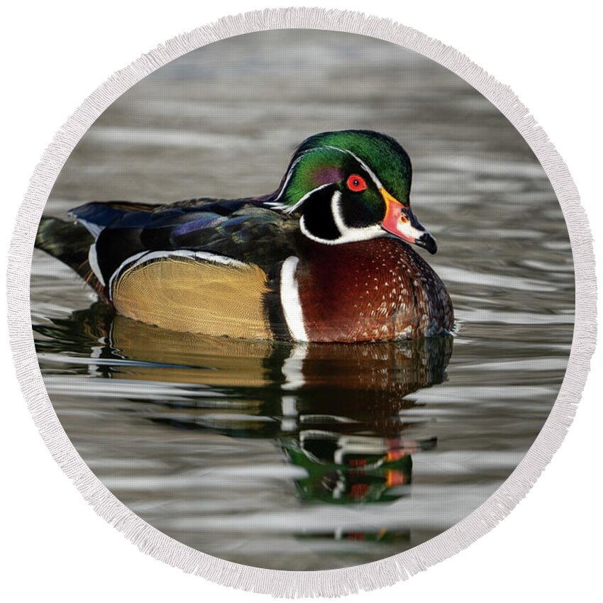 Wood Duck Round Beach Towel featuring the photograph Wood Duck on Pond by Wesley Aston