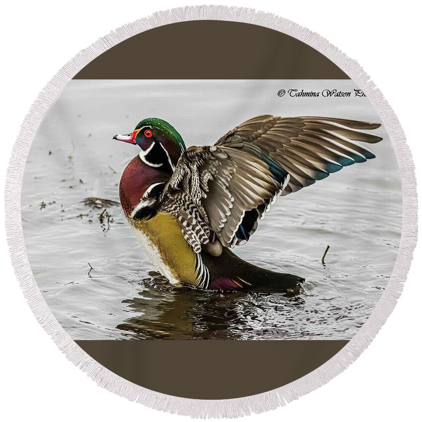 Duck Round Beach Towel featuring the photograph Wood Duck Winged Out by Tahmina Watson