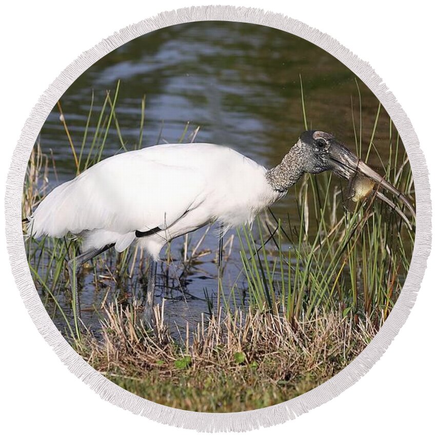 Wood Storks Round Beach Towel featuring the photograph Wood stork 2 by Mingming Jiang