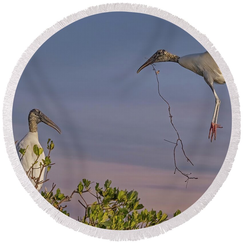 Wood Stork Round Beach Towel featuring the photograph Wood Stork Returns To Nest by Susan Candelario