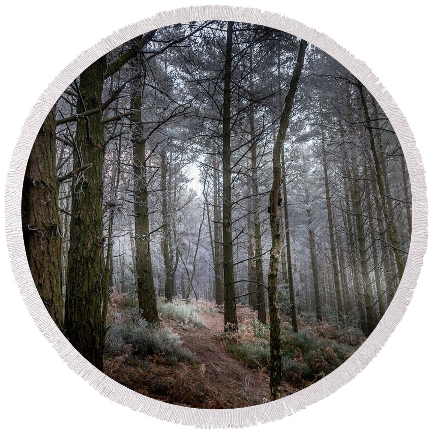 Woodland Round Beach Towel featuring the photograph Woodland Light by Chris Boulton