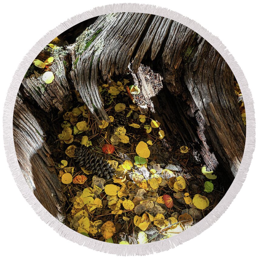 Artistic Round Beach Towel featuring the photograph Woodland Treasures by Rick Furmanek