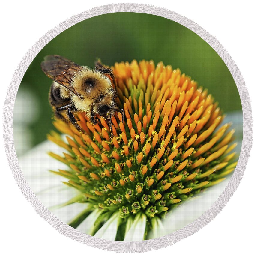 Bee Round Beach Towel featuring the photograph Working Bee III by Scott Olsen