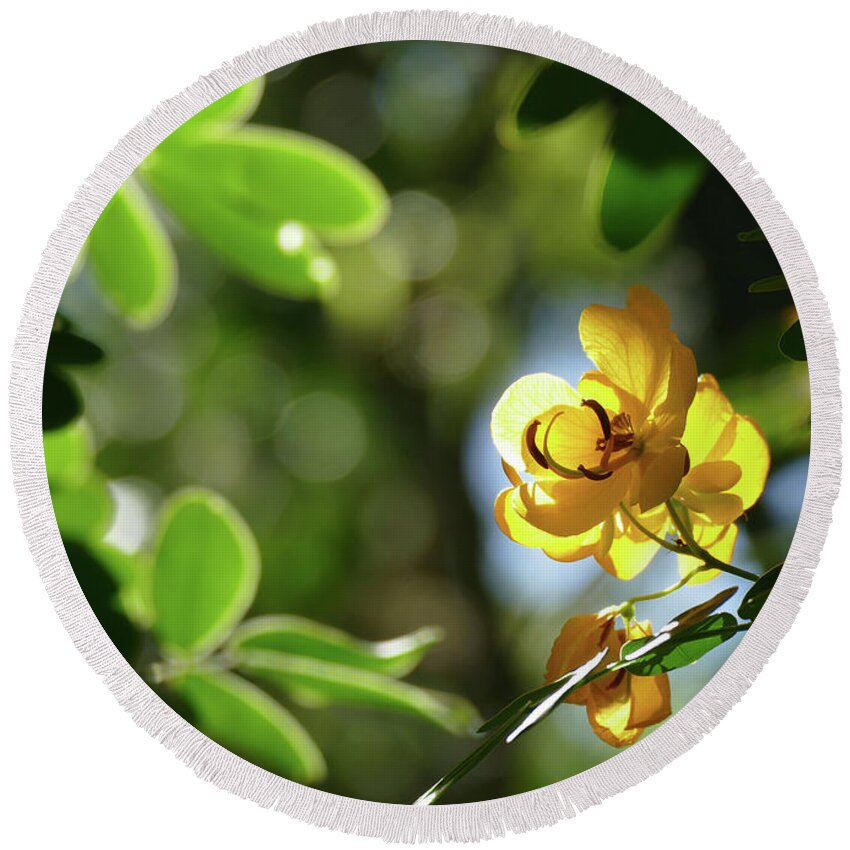 Flowers Round Beach Towel featuring the photograph Yellow Brightness by Maryse Jansen