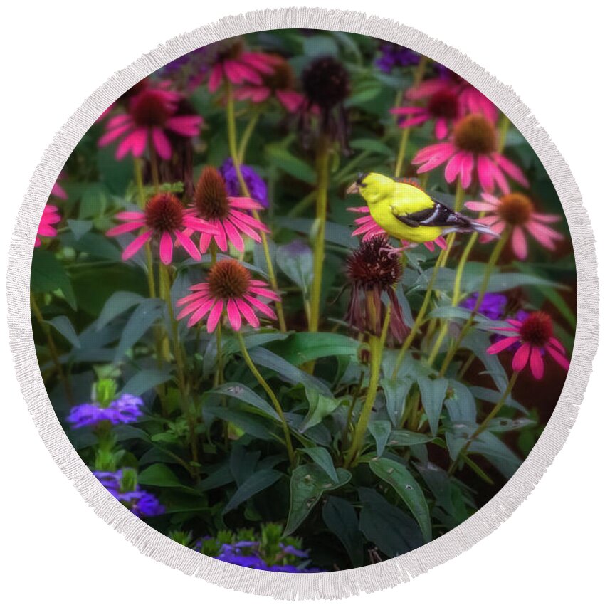 Finch Round Beach Towel featuring the photograph Yellow Finch by Allin Sorenson