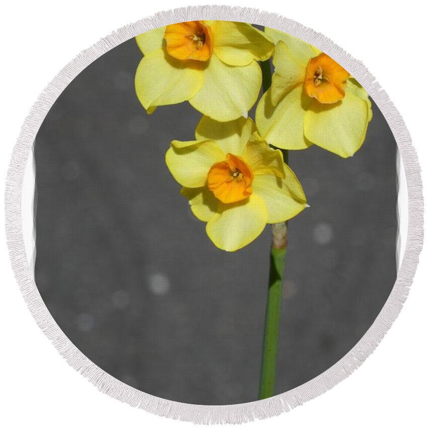 Digital Art Round Beach Towel featuring the photograph Yellow Flowers 4 by Jean Bernard Roussilhe