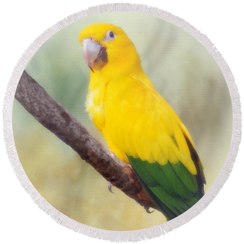 Bird Round Beach Towel featuring the mixed media Yellow Green Parrot Bird 83 by Lucie Dumas