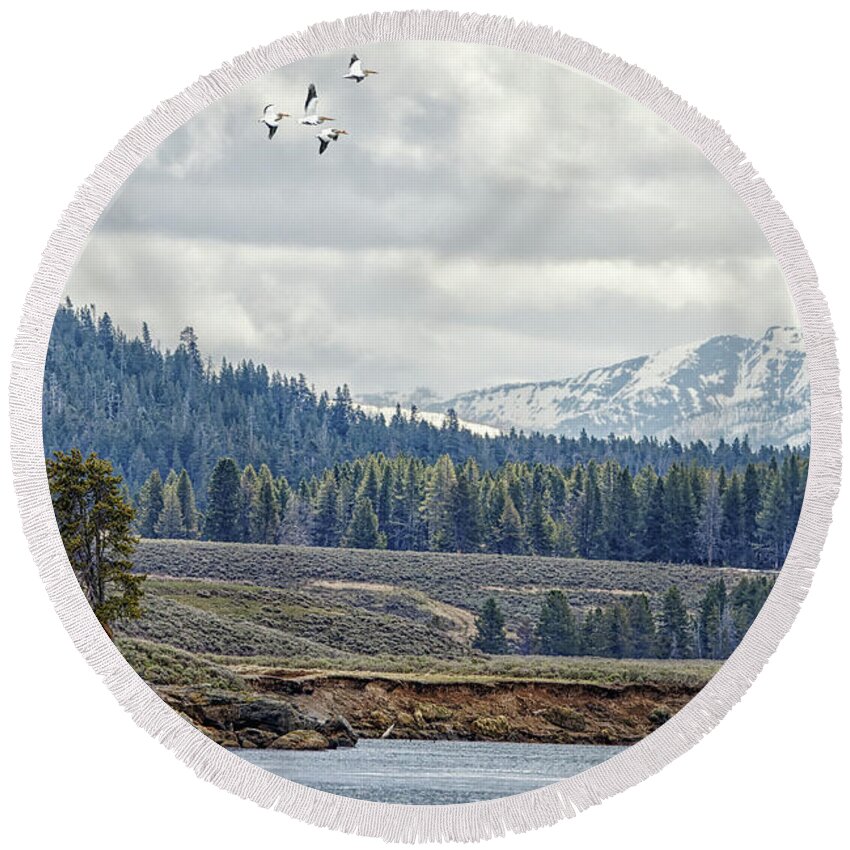 Pelican Round Beach Towel featuring the photograph Yellowstone Flight by Natural Focal Point Photography