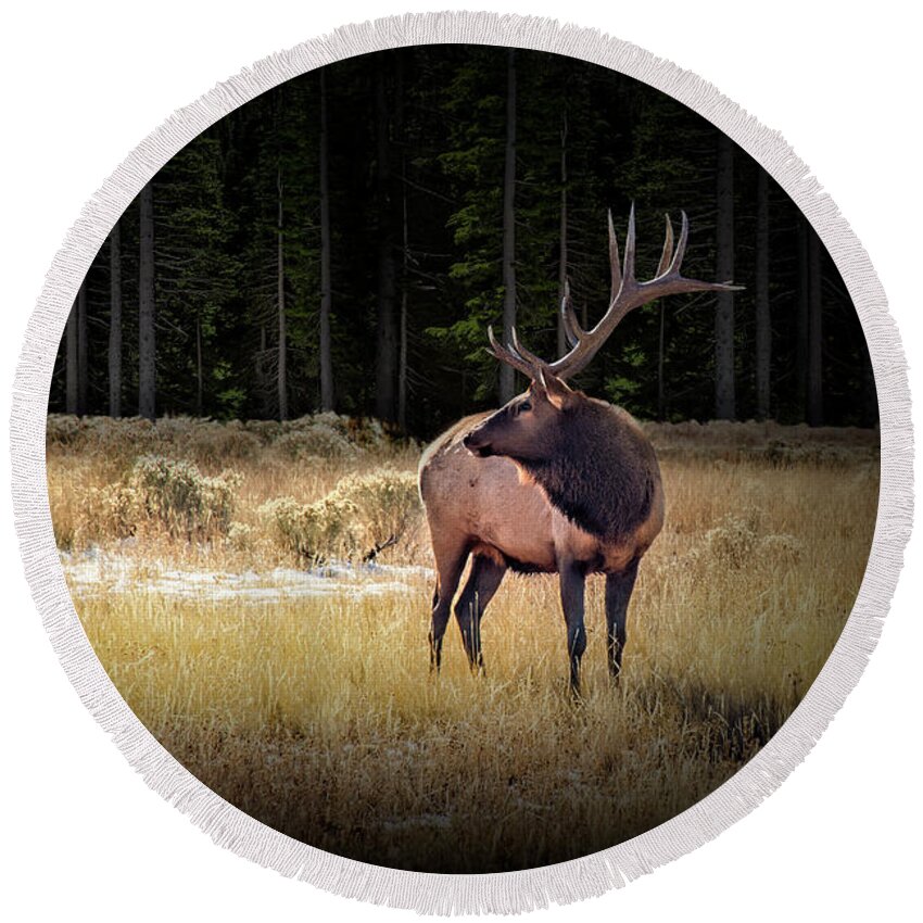 Elk Round Beach Towel featuring the photograph Yellowstone National Park Elk Wapiti by Randall Nyhof