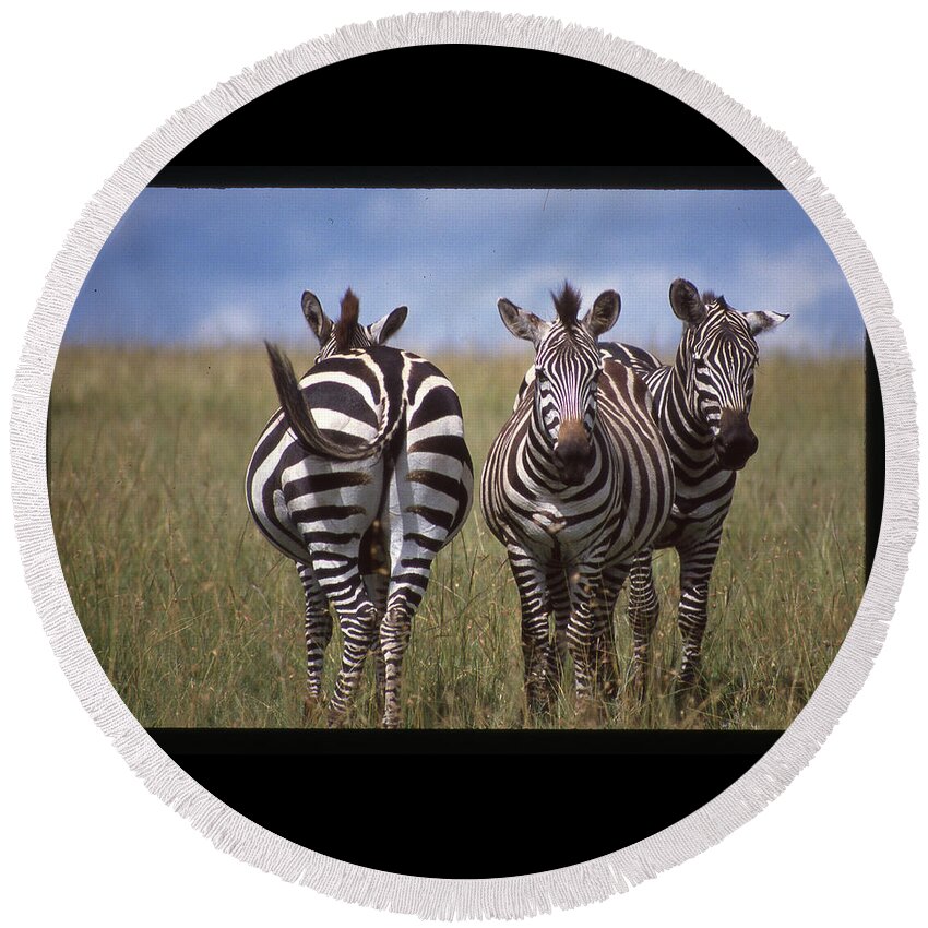 Africa Round Beach Towel featuring the photograph Zebras Coming and Going by Russel Considine