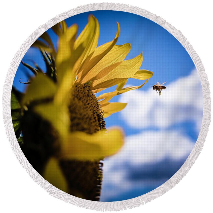  Round Beach Towel featuring the photograph Zooming Bee by Nicole Engstrom