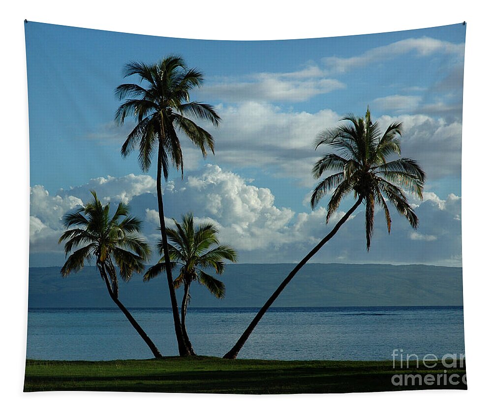 Hawaii Tapestry featuring the photograph A Little Bit of Paradise by Vivian Christopher