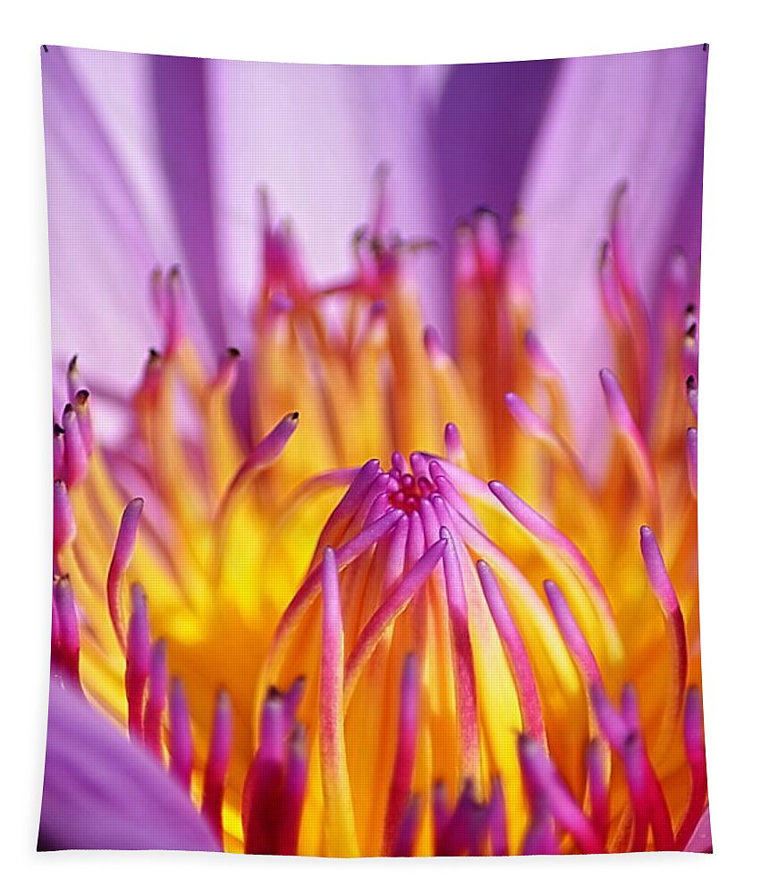 Nature Tapestry featuring the photograph Just Purple by Michelle Meenawong