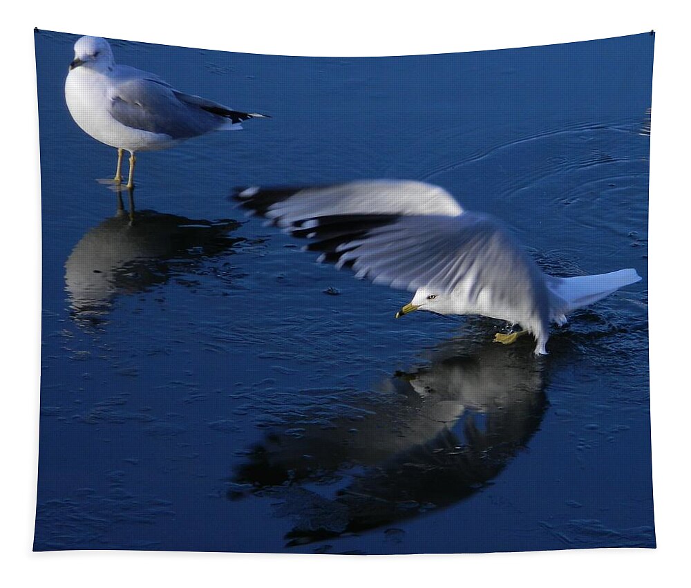 Landing On Icy Water Tapestry featuring the photograph Landing On Icy Water by Emmy Vickers
