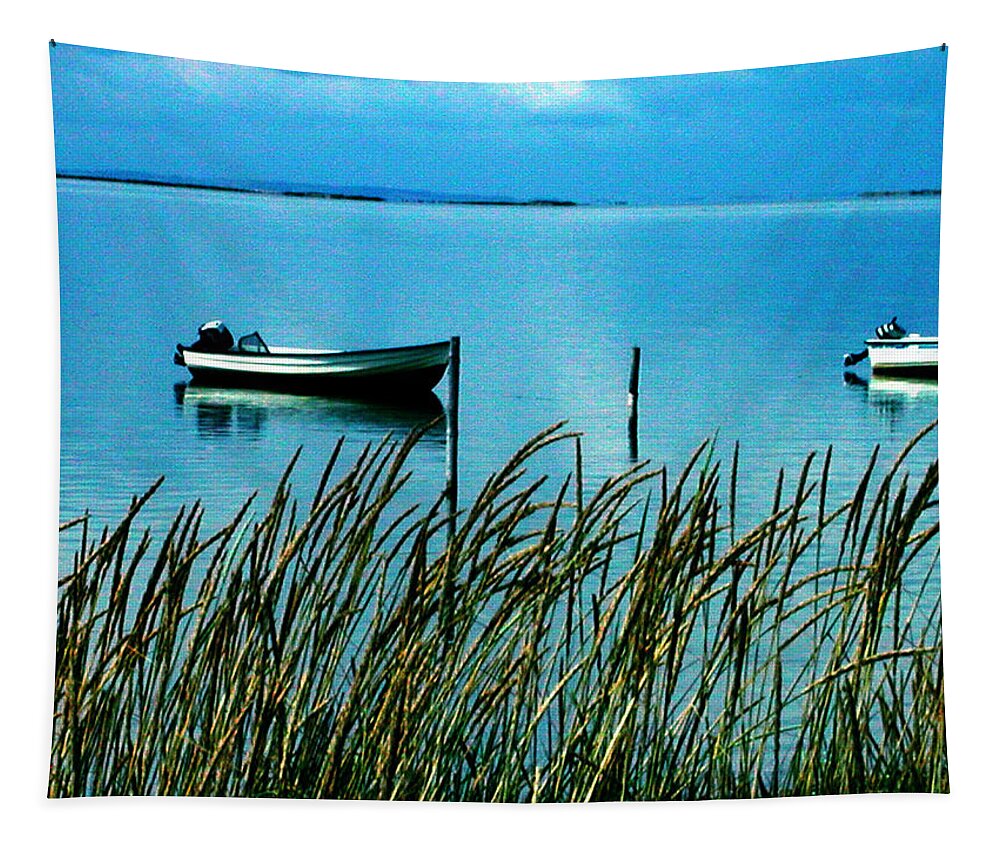 Colette Tapestry featuring the photograph Peaceful Samsoe Island Denmark by Colette V Hera Guggenheim