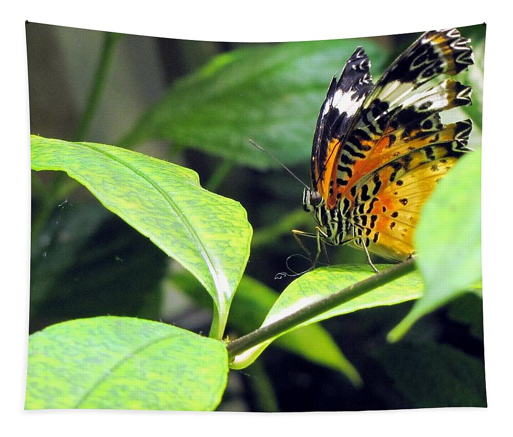 Butterfly Tapestry featuring the photograph Tiger Wings by Jennifer Wheatley Wolf