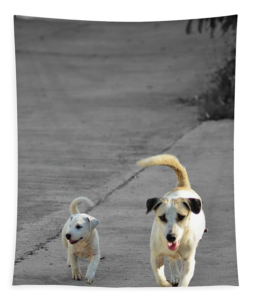 Michelle Meenawong Tapestry featuring the photograph Two Of A Kind #2 by Michelle Meenawong