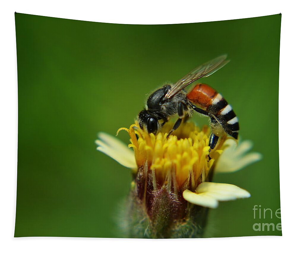 Michelle Meenawong Tapestry featuring the photograph Working Bee by Michelle Meenawong