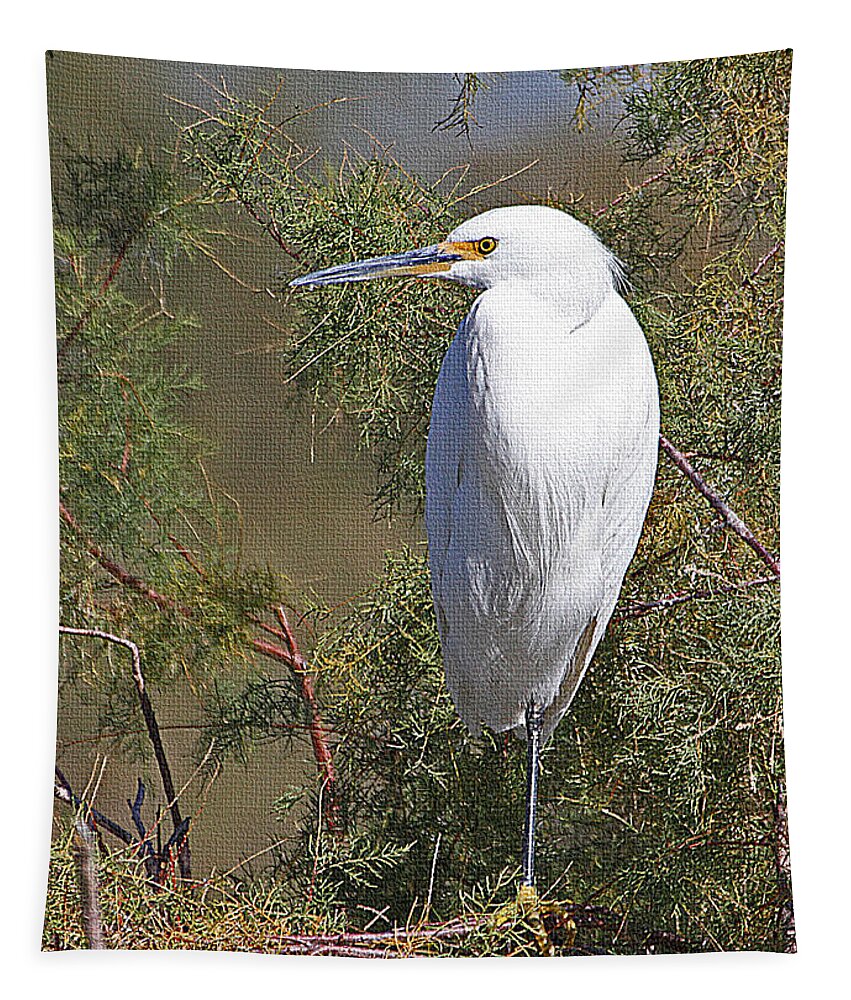 Yellow Foot Snowy Egret On Perch Tapestry featuring the photograph Yellow Foot Snowy Egret On Perch by Tom Janca