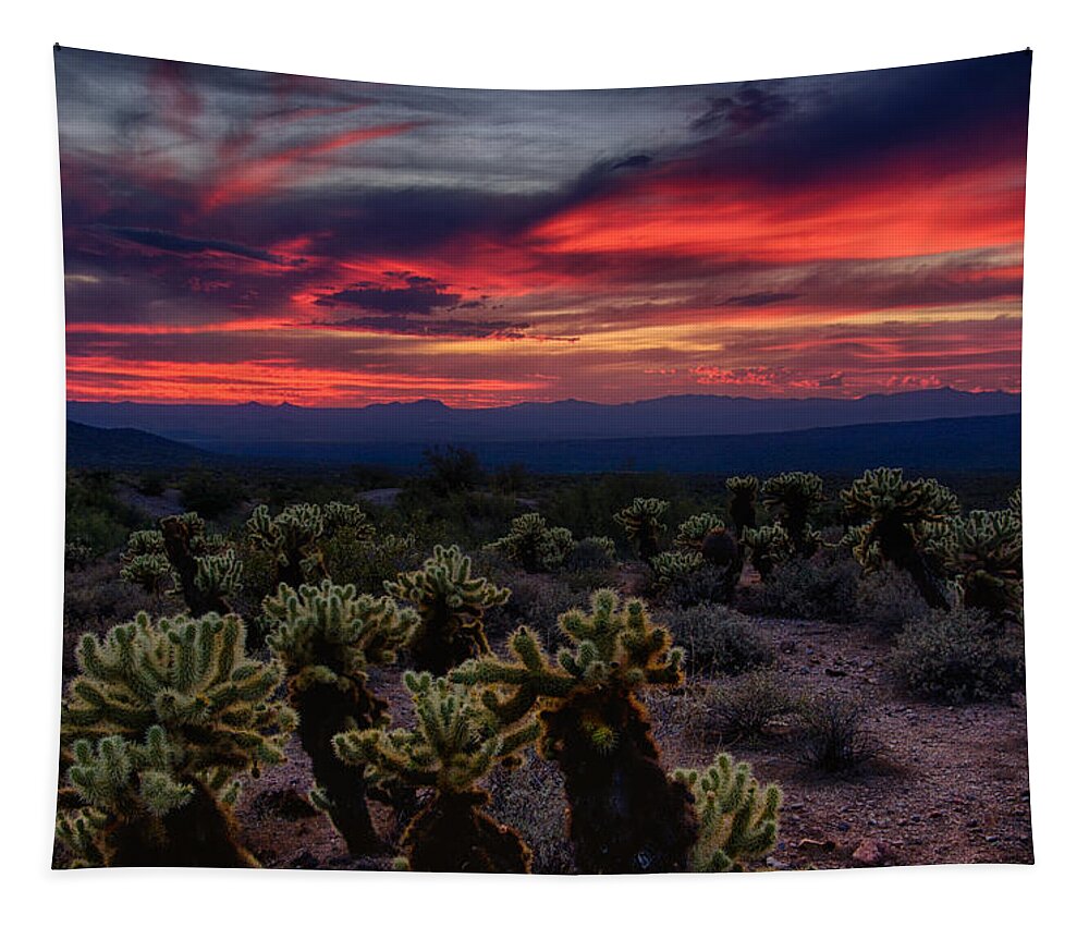 Sunset Tapestry featuring the photograph A Cholla Sunset #1 by Saija Lehtonen