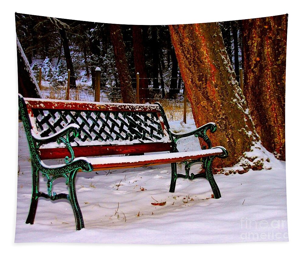 Benches Tapestry featuring the photograph A place to think #1 by Roland Stanke