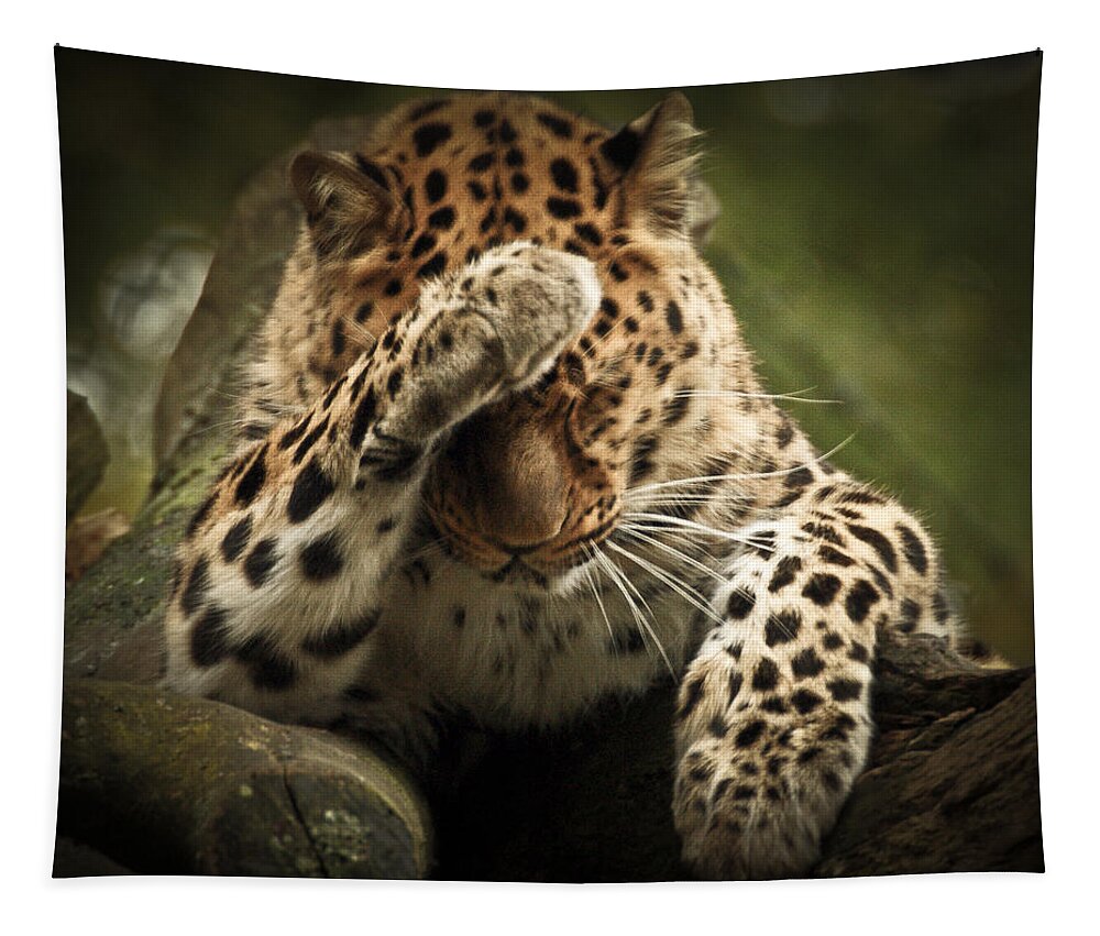 Animal Tapestry featuring the photograph Amur Leopard by Chris Boulton