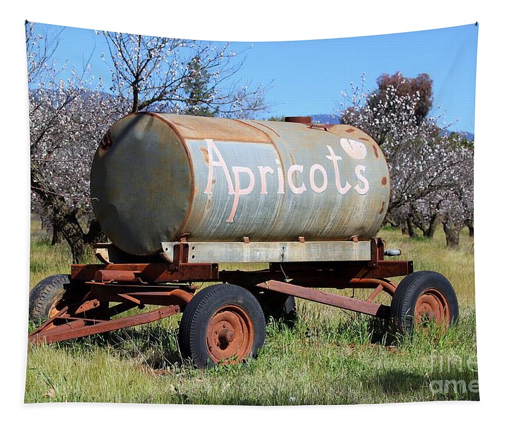 Apricot Tapestry featuring the photograph Apricots #1 by Henrik Lehnerer
