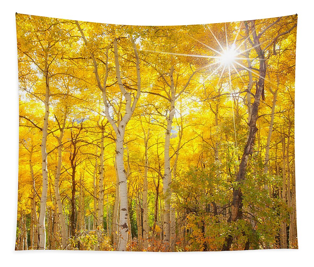 Aspens Tapestry featuring the photograph Aspen Morning #1 by Darren White