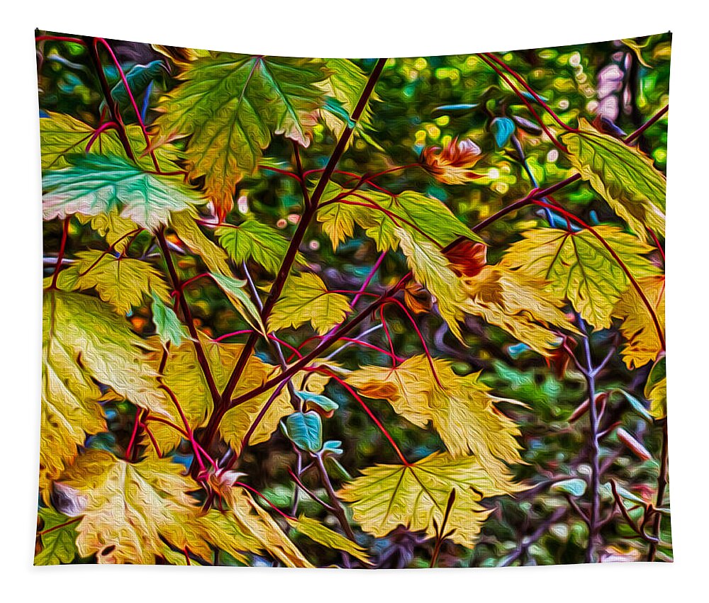 Autumn Leaves Tapestry featuring the photograph Autumn Leaves #1 by Omaste Witkowski