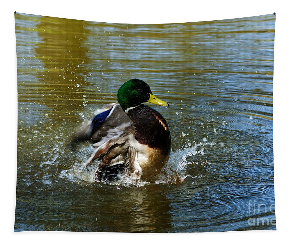Mallard Tapestry featuring the photograph Bath Time #1 by Vivian Christopher