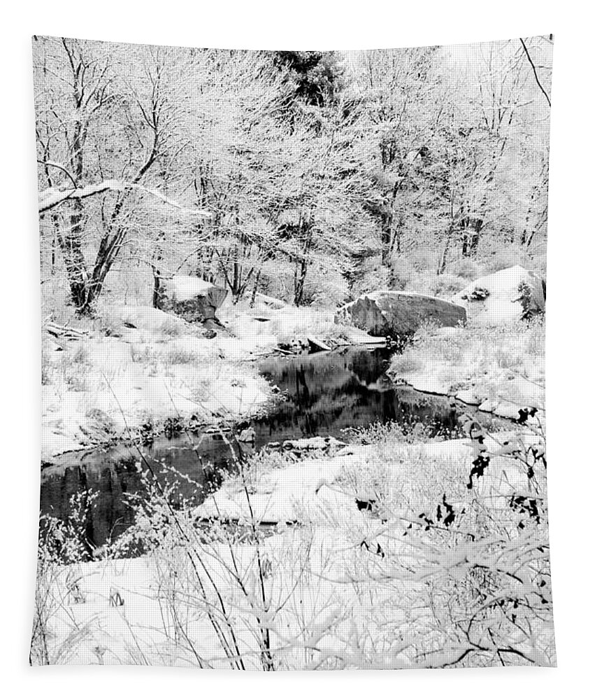 Black And White Tapestry featuring the photograph Black and White #1 by Greg Fortier