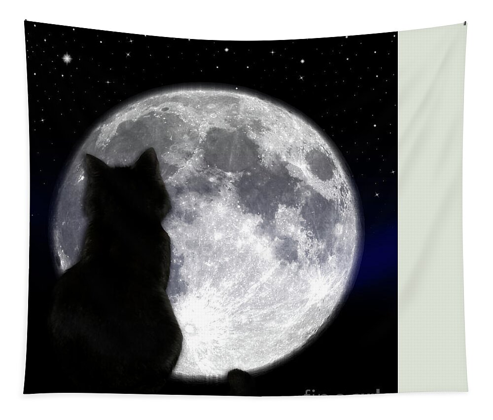 Cat Tapestry featuring the photograph Black Cat And Full Moon #1 by Nina Ficur Feenan