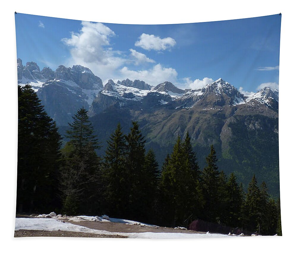 Brenta Tapestry featuring the photograph Brenta Dolomites - Forest in Spring by Phil Banks